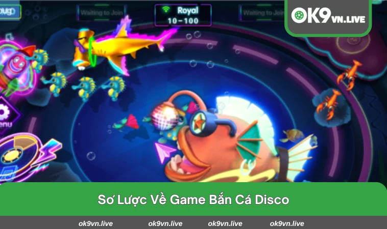 Giao diện sôi động mang nhiều màu sắc