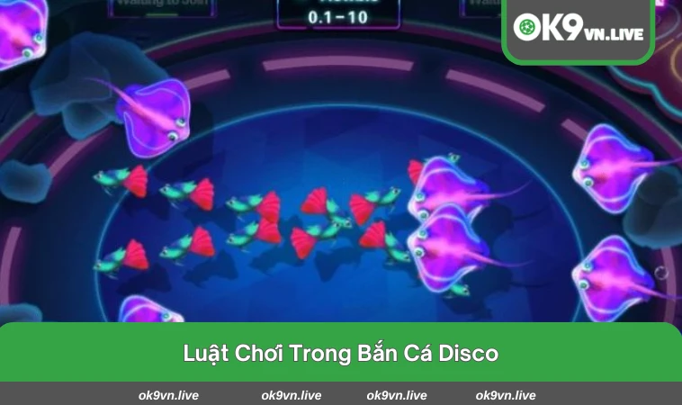 Luật đơn giản, dễ hiểu cho cả hội viên mới