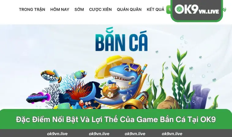 Sự đa dạng của các loại cá và tỷ lệ thưởng trong đại dương