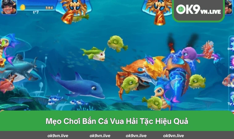 Người chơi có thể lựa chọn nhiều loại súng để săn boss biển