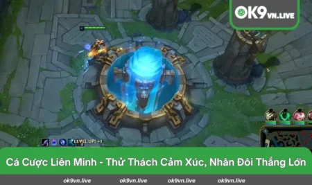 cá cược liên minh