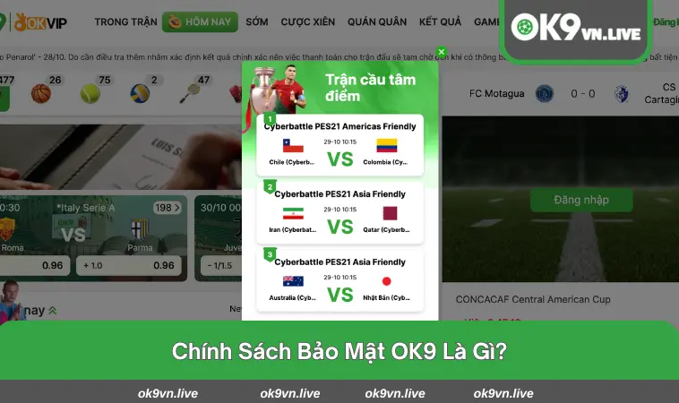 Giải đáp câu hỏi chính sách bảo mật tại OK9 là gì