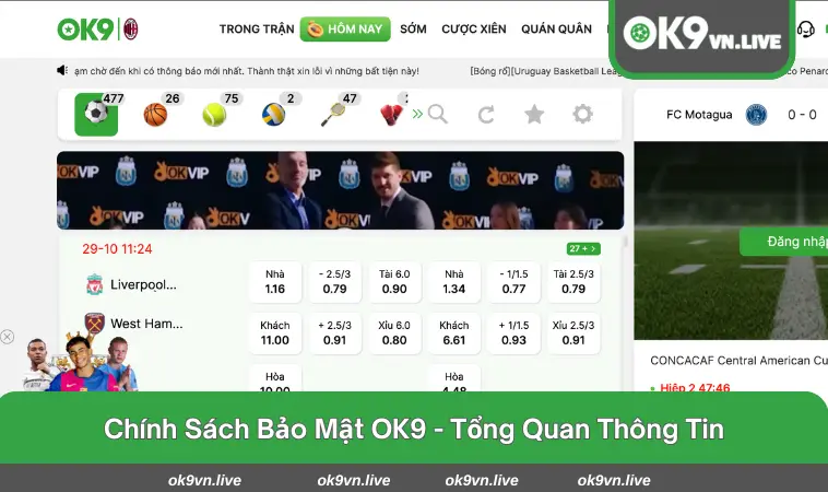 Đôi điều cơ bản về chính sách bảo mật tài nhà cái OK9