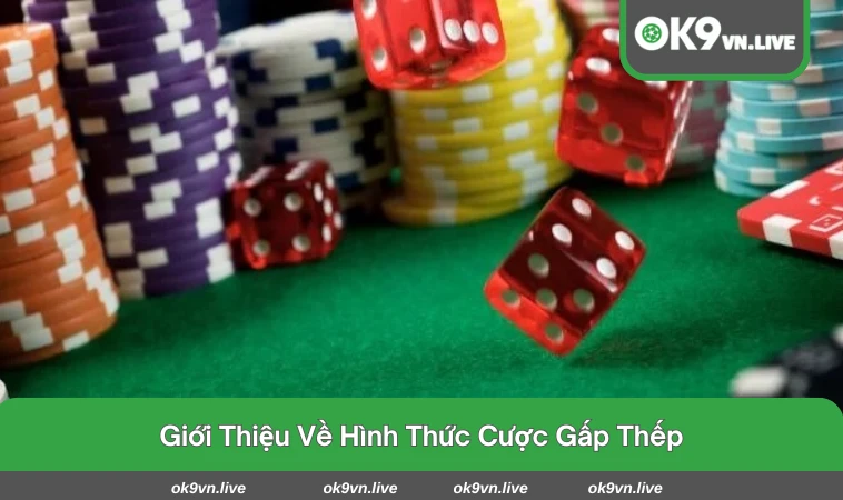 Quy trình cược tăng dần theo chiến thuật gấp thếp