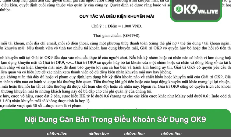 Thông tin quan trọng trong điều khoản sử dụng tại nhà cái OK9