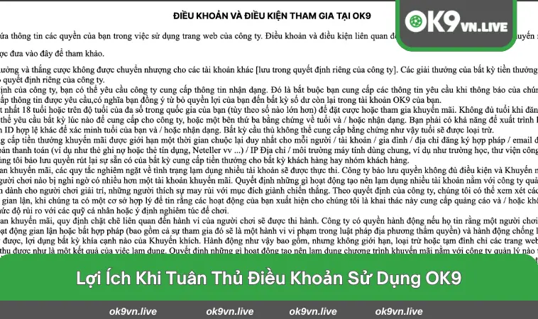 Tổng hợp những lợi ích nhận được khi tuân thủ quy định