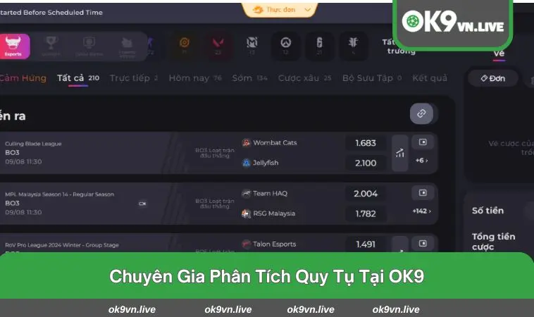 Chiến thắng dựa trên dữ liệu, không phải may mắn