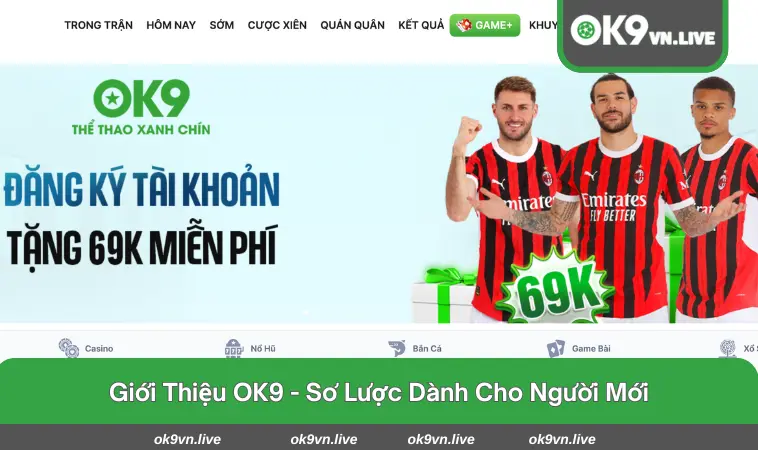 Sơ lược thông tin về nhà cái đẳng cấp OK9