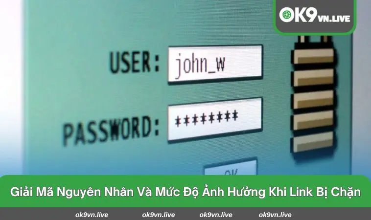 Luôn kiểm tra kỹ càng địa chỉ trang web