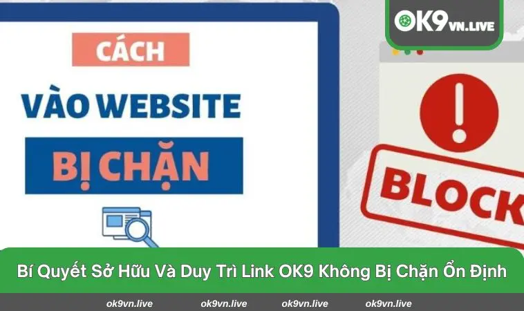 Chủ động đổi DNS sang 1.1.1.1 hoặc dùng VPN uy tín