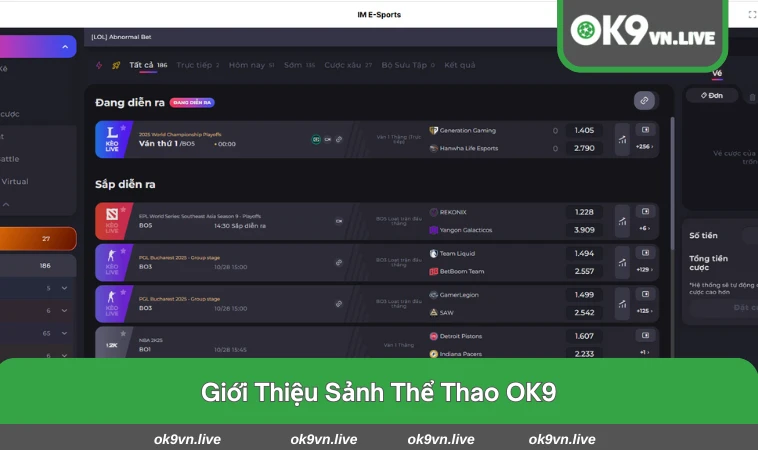 Giao diện trực quan và hiện đại của sảnh thể thao